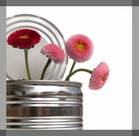 flowers in tin can